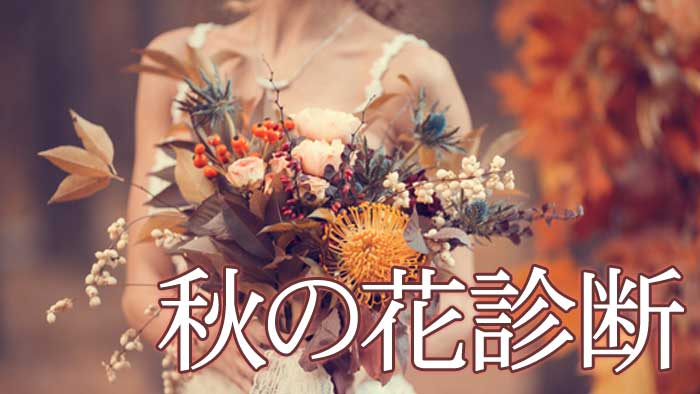 Mycalendar マイカレンダー Web マイカレ の開運記事 占いで366日 毎日しあわせ 秋の花診断 選んだ花 で分かるあなたの恋愛傾向 花言葉
