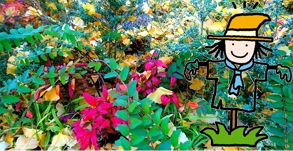 マーク・矢崎のライフ～秋の恵みを守ってくれた神様は、もの知りの案山子～