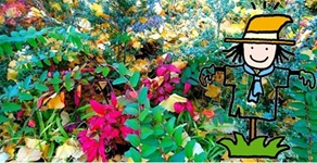 マーク・矢崎のライフ～秋の恵みを守ってくれた神様は、もの知りの案山子～