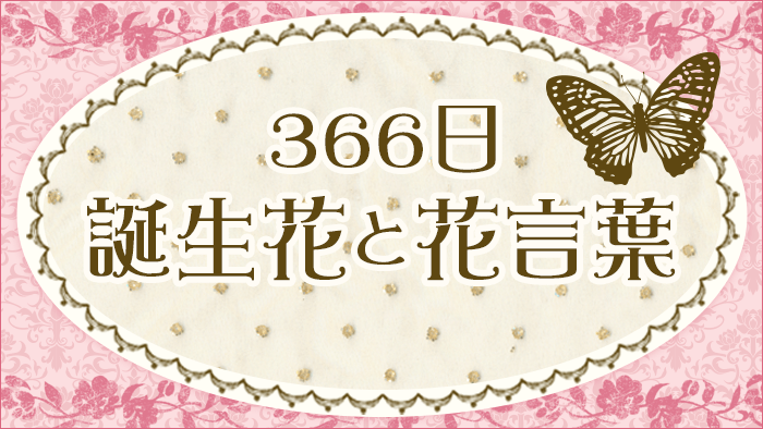 366日誕生花と花言葉